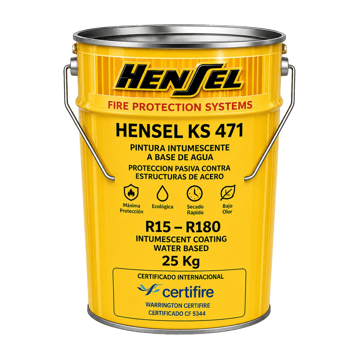 BS INSTUMESCENT PAINT